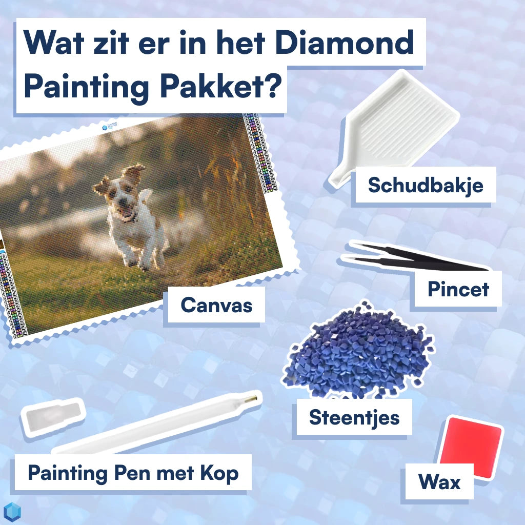 Diamond Painting Eigen Foto