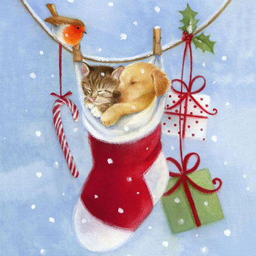 Hond & Kat in kerstsok