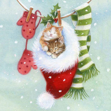 Katten in kerstsok