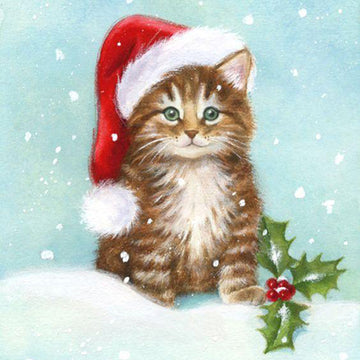 Kat met kerstmuts