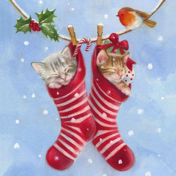 Twee katten in kerstsokken