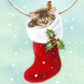 Kat in Kerstsok #2