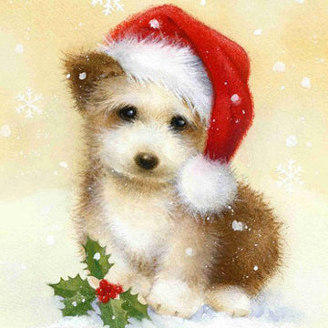 Hond met Kerstmuts