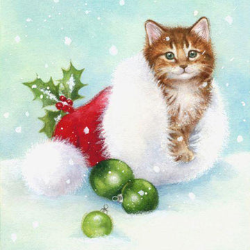 Kat in grote kerstmuts