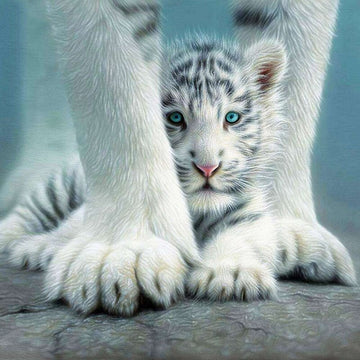 Tijger jong