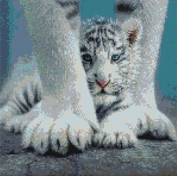 Tijger jong